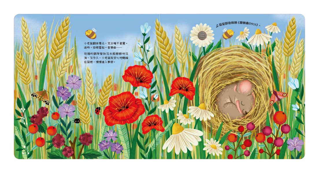 森林裡的音樂大師-放鬆時光演奏會